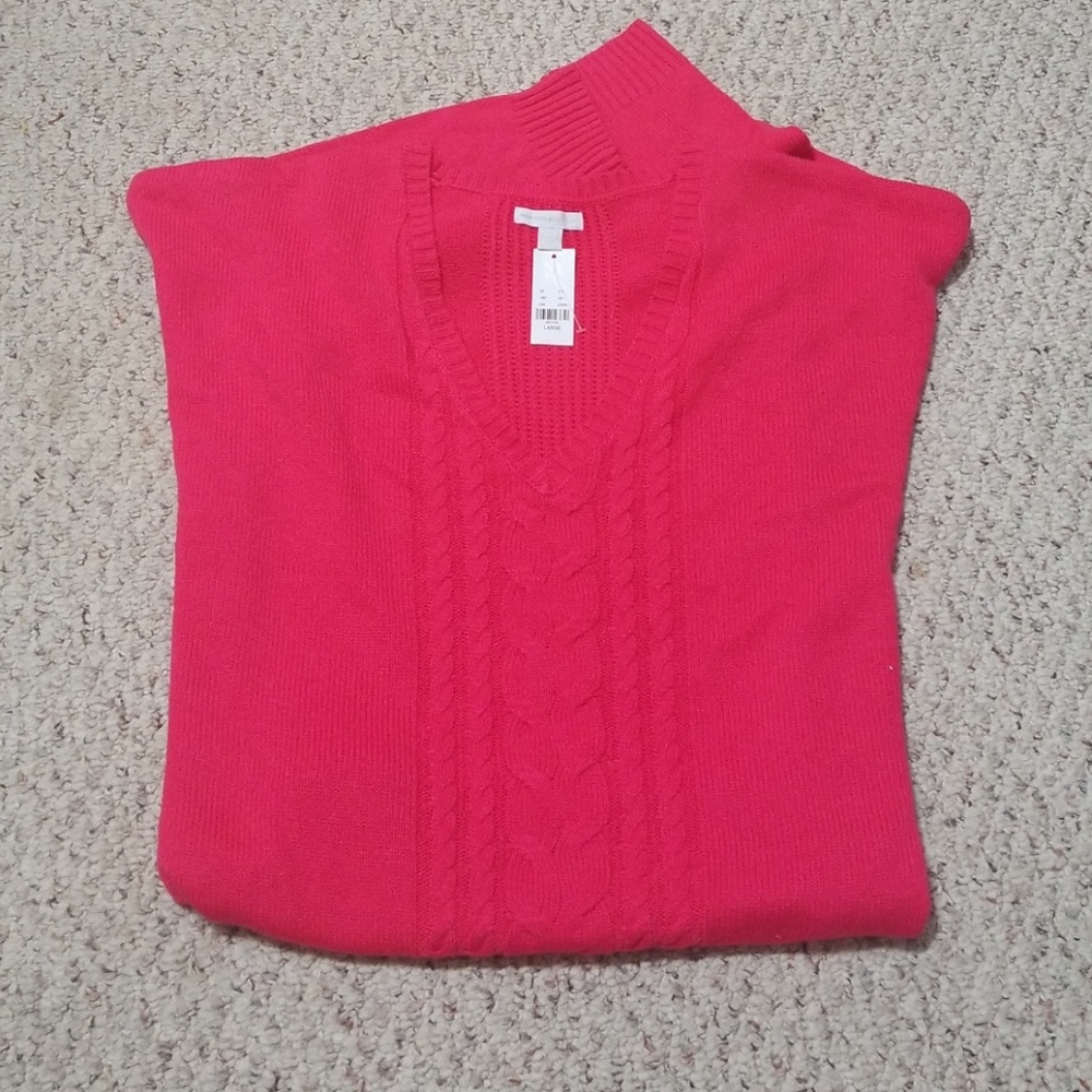 NY & Co V neck Sweater (Large)